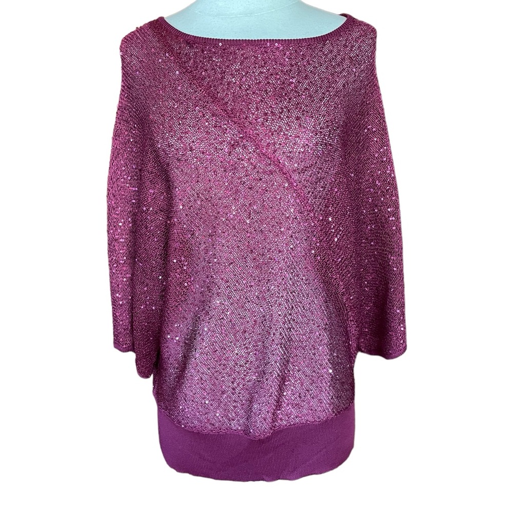NWOT Glitterscape Sequin Semi-Sheer Sweater